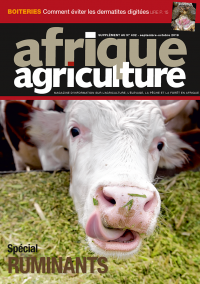 Supplément ruminants Afrique agriculture 432 septembre-octobre 2019