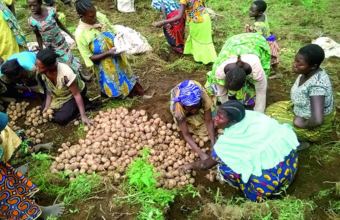 Certains enseignants bouclent leur fin de mois en faisant travailler les élèves au champ. Photo : Umbo Salama