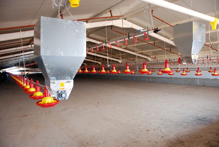 Des fournisseurs  de nombreux pays participent à  la construction  des complexes avicoles algériens. Comme cet Italien à Hassi Fedoul, dans la wilaya de Djelfa,  à 320 km au  sud d’Alger. © A. Hervé