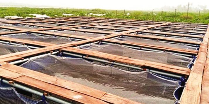 L’aquaculture en cage à Badagry, au sud-ouest du Nigeria.