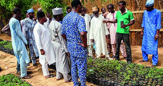 Un vulgarisateur agricole enseigne son savoir à des paysans à Sokoto dans le nord  du Nigeria. Photos : Daouda Aliyou