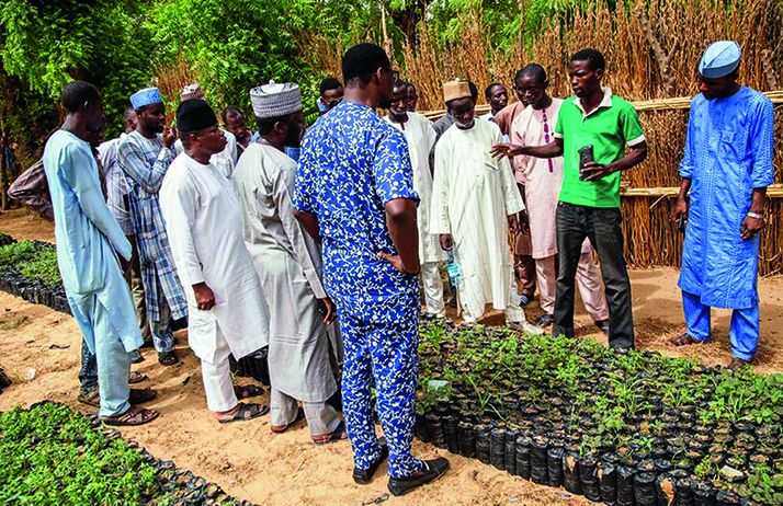 Un vulgarisateur agricole enseigne son savoir à des paysans à Sokoto dans le nord  du Nigeria. Photo : Daouda Aliyou