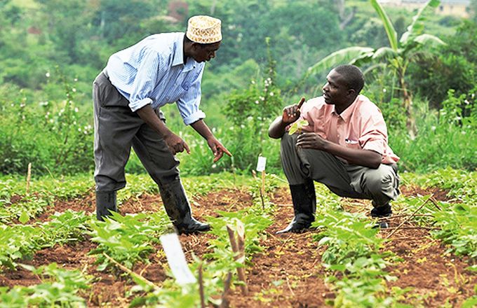 Résultat de recherche d'images pour "Afrique "Agriculture""