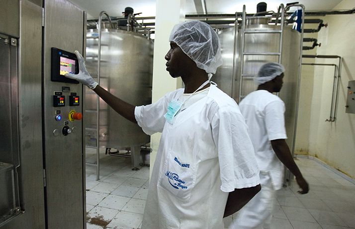 Dans la Laiterie du Berger à Richard Toll,  au nord du Sénégal. Photo : LdB