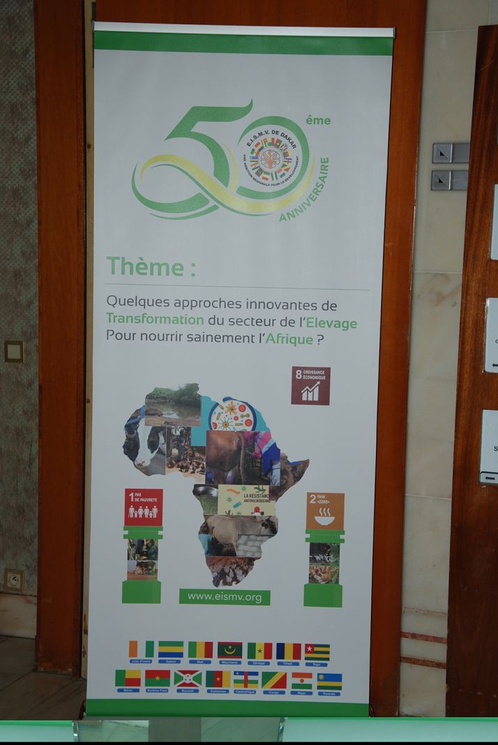 50 ans de l'EISMV dakar. © A. Hervé 50 ans de l'EISMV dakar. © A. Hervé