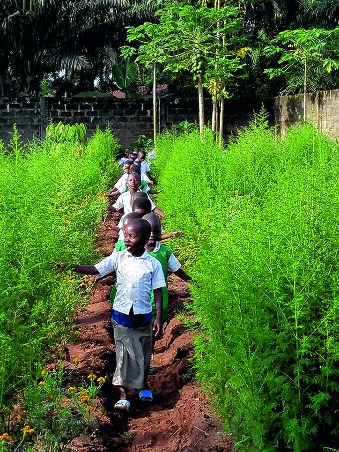 À Baningbé, les enfants de l’école agricole Laudato Si apprennent l’agroécologie et la permaculture. Photo : Maison de l'Artemisia À Baningbé, les enfants de l’école agricole Laudato Si apprennent l’agroécologie et la permaculture. Photo : Maison de l'Artemisia