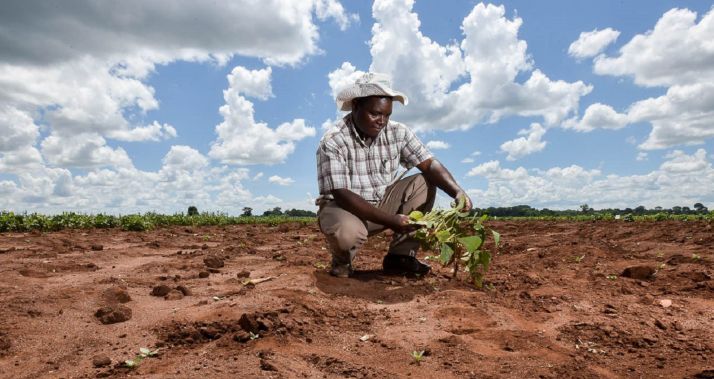 Photo : Neil Palmer (CIAT) Flickr CC Photo : Neil Palmer (CIAT) Flickr CC