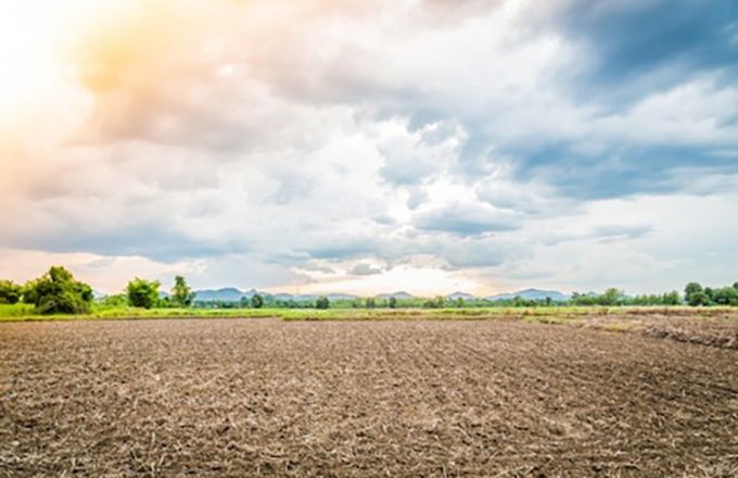 Sur les 3,4 millions d’hectares de terres agricoles que compte le Togo, seulement 45 % du total sont valorisés. Photo : ministère de l’Agriculture du Togo Sur les 3,4 millions d’hectares de terres agricoles que compte le Togo, seulement 45 % du total sont valorisés. Photo : ministère de l’Agriculture du Togo