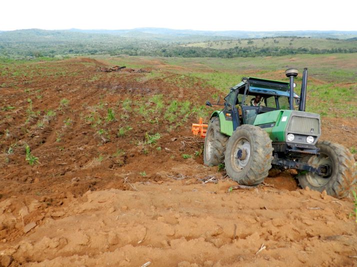 La modernisation des fermes, comme ici au Cameroun, devrait permettre une augmentation de 3,5 % des rendements par an. Photo : A. Hervé