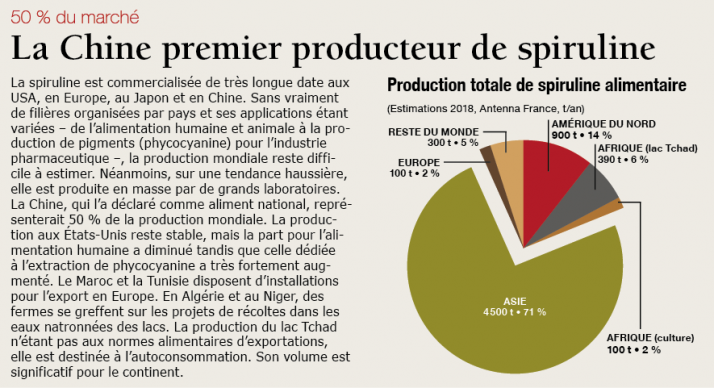 La Chine premier producteur de spiruline