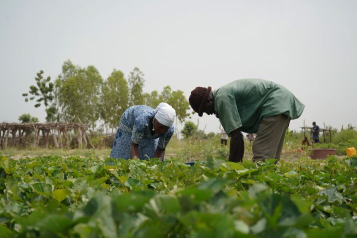 Des paysans bénéficiaires dans le village de Soya. 