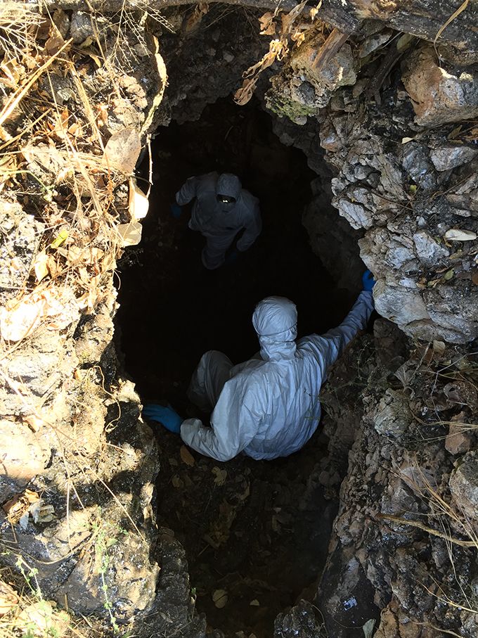 Les chercheurs ont identifié différents types de coronavirus dans des colonies de chauves-souris insectivores et cavernicoles dans les districts Kwekwe et Hurungwe. Ici, l’entrée de la grotte Magweto, à Mashonaland, au Zimbabwe. Photo M. Bourgarel (Cirad)