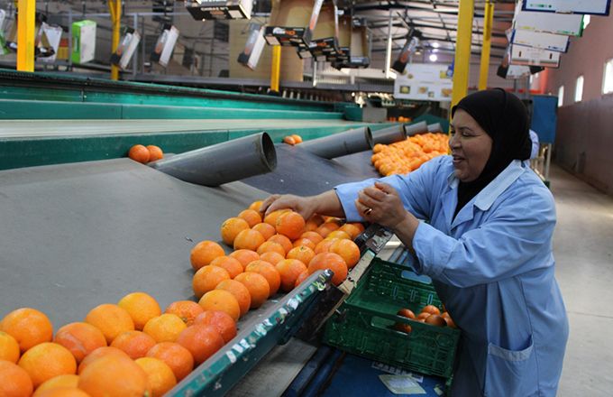 Les exportations d’oranges ont progressé de 42 % en 2021-2022. Photo : Souha Yacoub/FAO