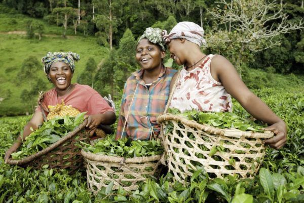 African Women in Agriculture (AWA) African Women in Agriculture (AWA)