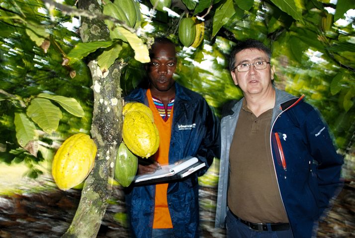 Patrick Poirrier (à dr) et un cadre du Conseil café-cacao dans la plantation de Nouhou N’Diaye  à Azaguié. © Antoine Hervé.