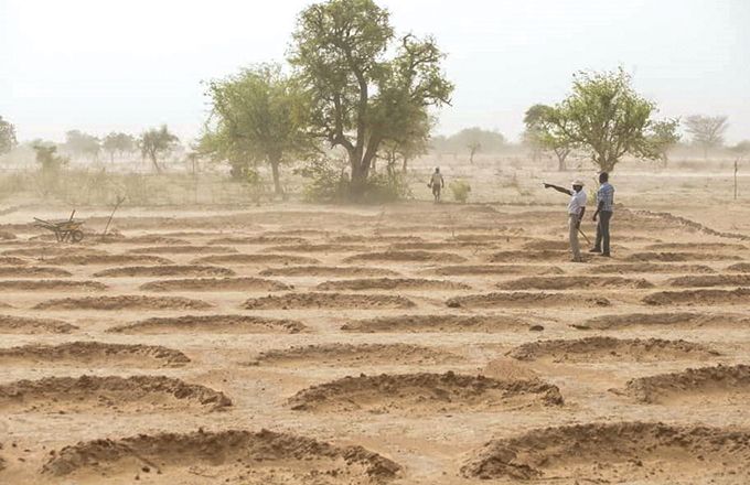 La technique de la demi-lune permet de conserver l’eau de pluie pour les cultures. Photo : FAO