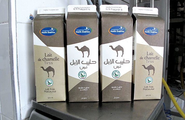 Les packs de lait de chamelle d’un demi-litre sont vendues 10 dirhams, soit presque le double du lait de vache. Photo : François Brey Les packs de lait de chamelle d’un demi-litre sont vendues 10 dirhams, soit presque le double du lait de vache. Photo : François Brey