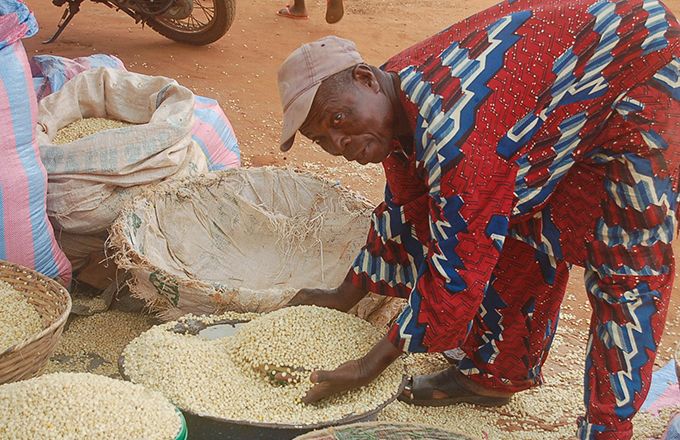 Le maïs est devenu assez cher sur tous les marchés du Bénin. Photo : G. C. Roko