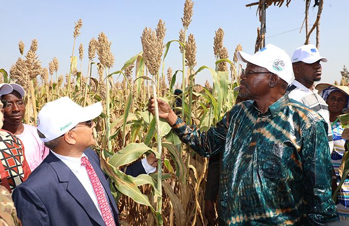 M. Lassine Dembélé, ministre de l'Agriculture du Mali. Photos : Icrisat Afrique. M. Lassine Dembélé, ministre de l'Agriculture du Mali. Photos : Icrisat Afrique.