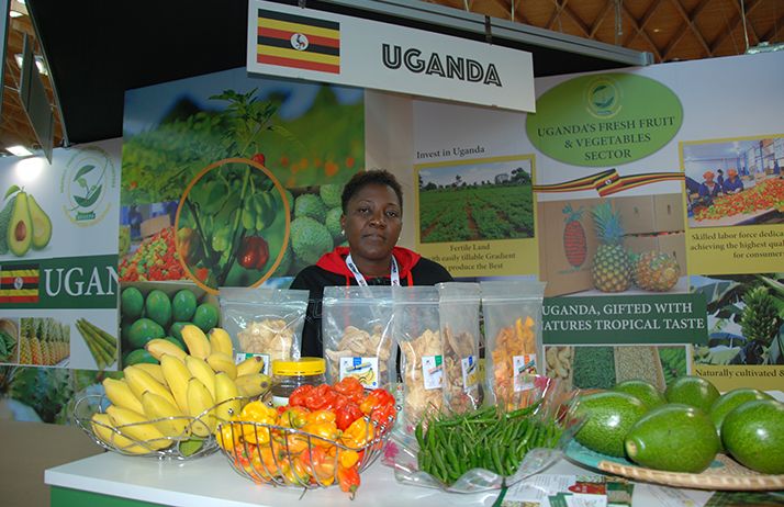 Le stand de l'Ouganda lors du dernier Macfrut en 2019. © Antoine Hervé