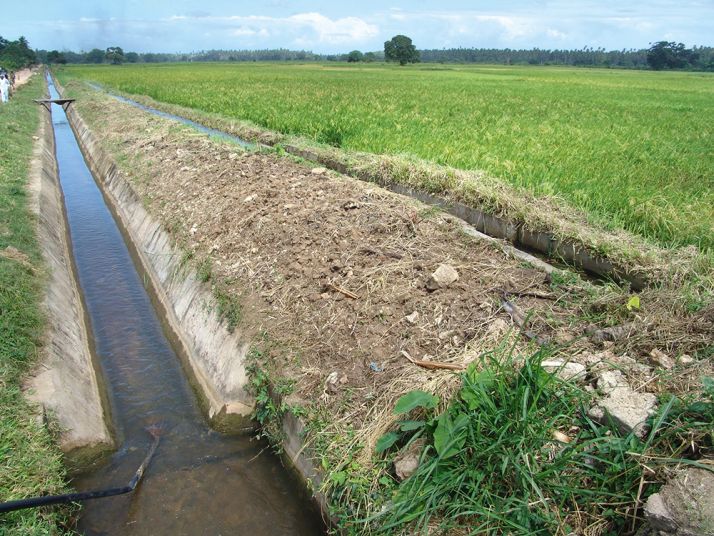 Canaux d’irrigation dans l’État de Sokoto au nord du Nigeria.  Photo : News Agency of Nigeria