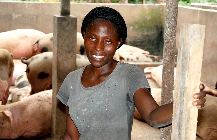 Mauricette NGuessan est responsable de l’élevage porcin du Dr Attoumbré. Photo : Antoine Hervé Mauricette NGuessan est responsable de l’élevage porcin du Dr Attoumbré. Photo : Antoine Hervé
