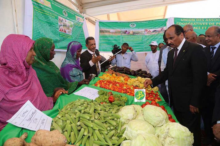 Le président mauritanien Mohamed Ould Abdel Aziz inspecte un marché de produits agricoles au Sud du pays. © M. Naïli