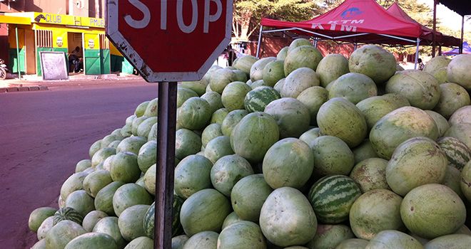 La pastèque est un fruit très consommé et très cultivé au Maroc et dans tout le Maghreb. Photo : DR