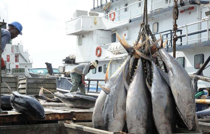 La pêche du thon en haute mer par des acteurs ivoiriens. Photo libre de droit La pêche du thon en haute mer par des acteurs ivoiriens. Photo libre de droit