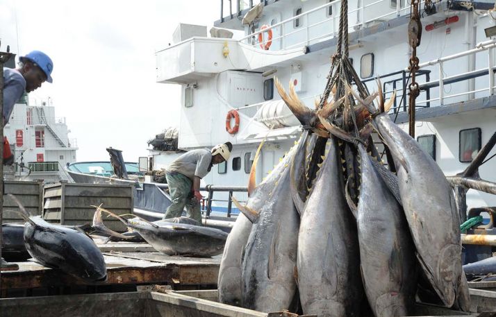 La pêche du thon en haute mer par des acteurs ivoiriens. Photo libre de droit