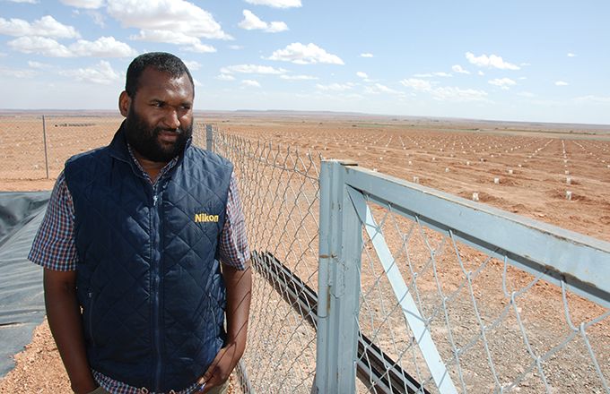 Un gérant de domaine agricole devant sa nouvelle plantation de palmiers dattiers près d'Errachidia au Maroc. Photo : Antoine Hervé