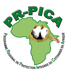 Réunion du PR-PICA Réunion du PR-PICA