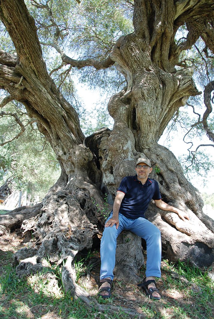 Madhi Gharbi est le directeur du groupement de développement agricole qui gère le site sur lequel évolue le vieil olivier. Photo : Antoine Hervé