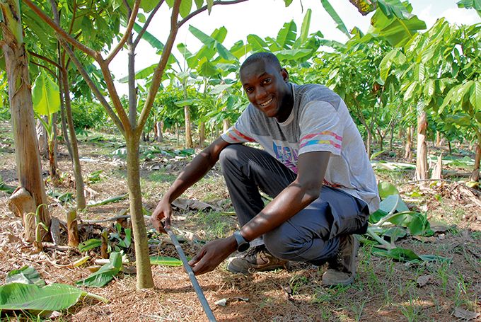Cédric Tossavi supervise l’irrigation des plantations. Cédric Tossavi supervise l’irrigation des plantations.