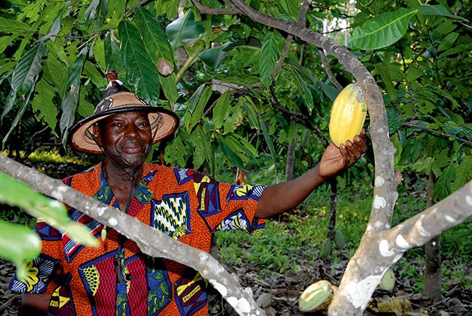 Antoine Bazimba, responsable de la Fredy’s plantation. Antoine Bazimba, responsable de la Fredy’s plantation.