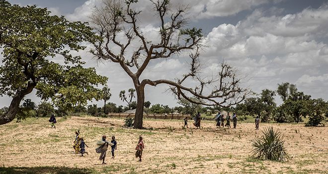 En premières lignes du changement climatique, les terres africaines doivent être particulièrement protégées. Photo : Luis Tato / FAO En premières lignes du changement climatique, les terres africaines doivent être particulièrement protégées. Photo : Luis Tato / FAO