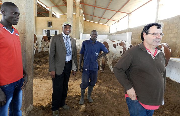 Le Dr Dramé, en cravate, Jean-Paul Brun (à dr.), de la société Coopex Montbéliarde, et deux employés de la ferme. Photo : A. Hervé