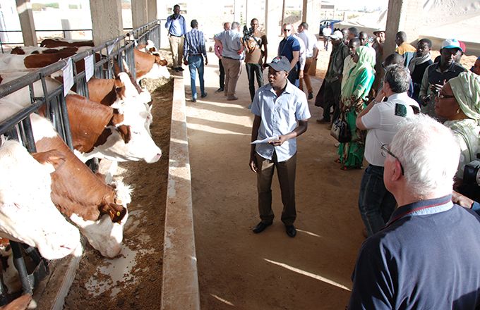Lors d’une visite d’élevage en marge du Siagro 2018. Photo d’archive : Antoine Hervé Lors d’une visite d’élevage en marge du Siagro 2018. Photo d’archive : Antoine Hervé