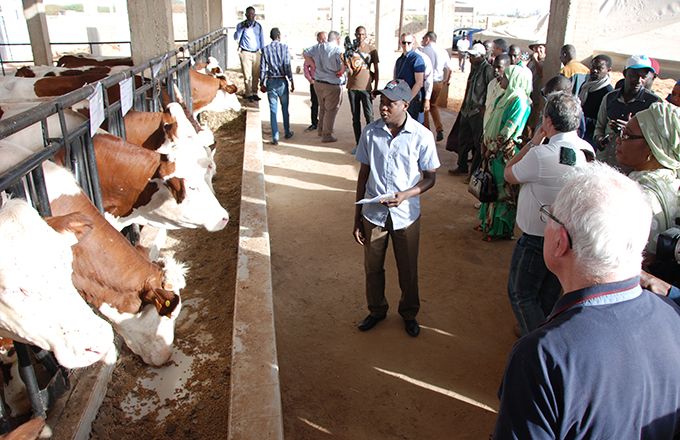 Lors d’une visite d’élevage en marge du Siagro 2018. Photo d’archive : Antoine Hervé