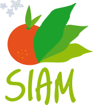 Siam 2019 Siam 2019