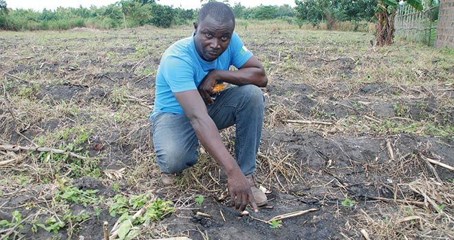 Le changement climatique affecte le travail des sols en Afrique, comme ici au nord de Lomé au Togo. Photo : Antoine Hervé Le changement climatique affecte le travail des sols en Afrique, comme ici au nord de Lomé au Togo. Photo : Antoine Hervé