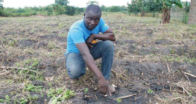 Le changement climatique affecte le travail des sols  en Afrique, comme ici au nord de Lomé au Togo.  Photo : Antoine Hervé