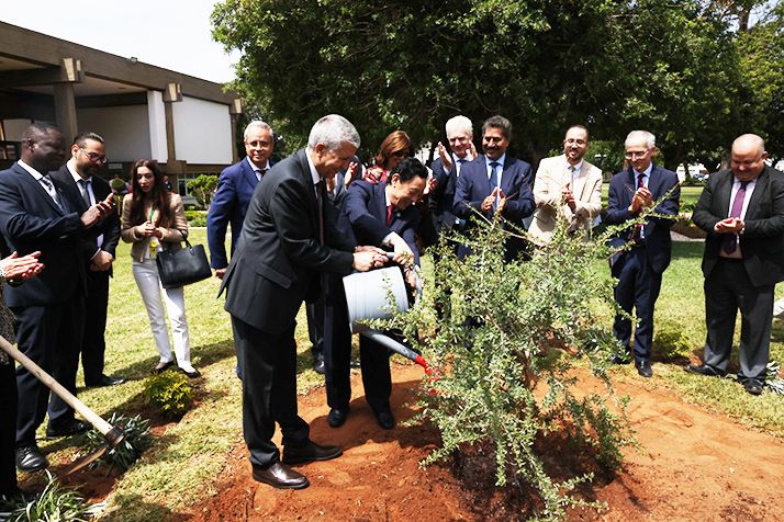 Le ministre et le directeur général de la FAO ont planté un arganier sur le campus de l'IAV