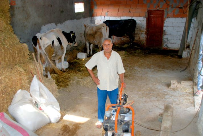 Ibrahim Mejri dans son exploitation laitière à Sidi Thabet, au nord-ouest de Tunis. Photo : Antoine Hervé