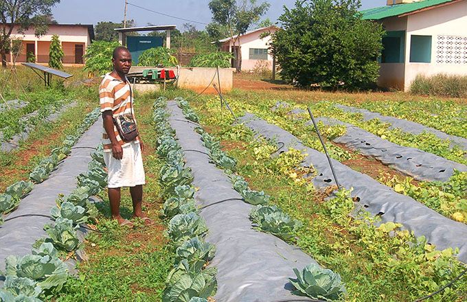 Les zones rurales sont transformées en pôles de développement économiques, comme ici à Kétou. Photo : G. C. Roko Les zones rurales sont transformées en pôles de développement économiques, comme ici à Kétou. Photo : G. C. Roko