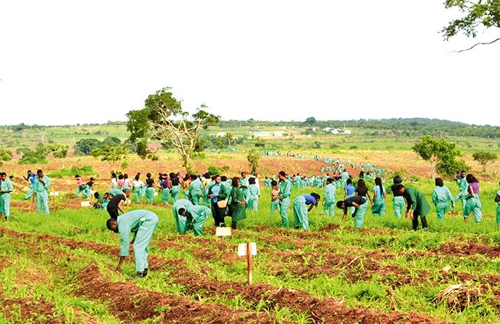 Les étudiants de Landmark University en plein travaux champêtres. Photo : D. Aliyou