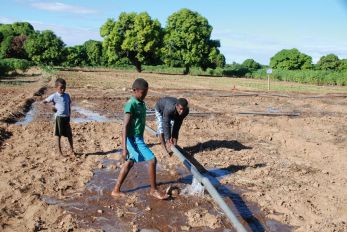 Un périmètre irrigué au sud  de Madagascar.