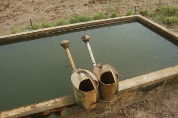 Ils n’attendent que l’eau et le porteur…