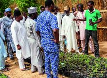 Un vulgarisateur agricole enseigne son savoir à des paysans à Sokoto dans le nord  du Nigeria. Photos : Daouda Aliyou