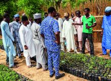 Un vulgarisateur agricole enseigne son savoir à des paysans à Sokoto dans le nord  du Nigeria. Photo : Daouda Aliyou